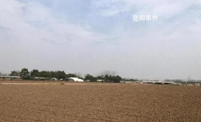 被卷入旋耕機老太生前為人和善