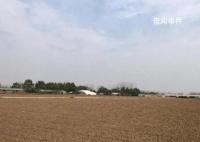 被卷入旋耕機(jī)老太生前為人和善