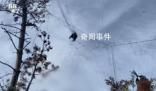 國家級保護區山上遍布捕鳥網 當地將專項整治
