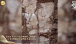 陜西發現元稹第二任妻子裴淑墓 二人的愛情故事也廣為流傳