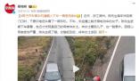 男子開車看手機撞到騎車老媽 警方對陳先生進行了批評教育