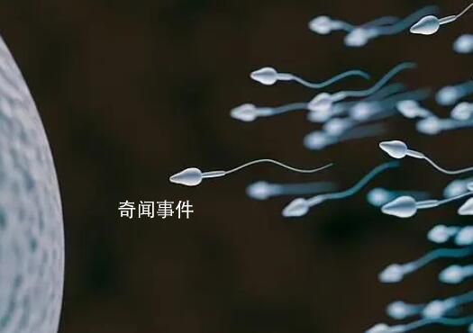 科學(xué)家:精子運(yùn)動(dòng)違背牛頓第三定律