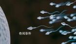 科學家:精子運動違背牛頓第三定律