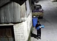 男子偷菜游戲上癮多次盜竊蔬菜