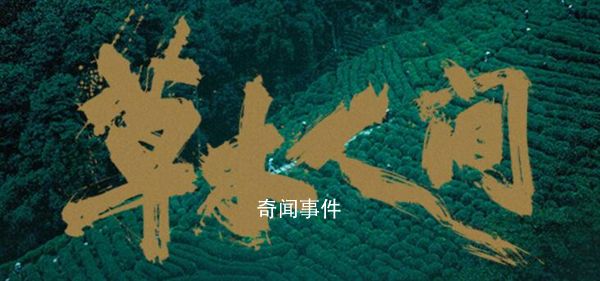 蔣勤勤說和吳磊搭檔是上天的禮物