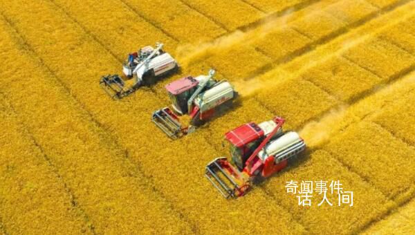 11月,這些新規將影響你我生活