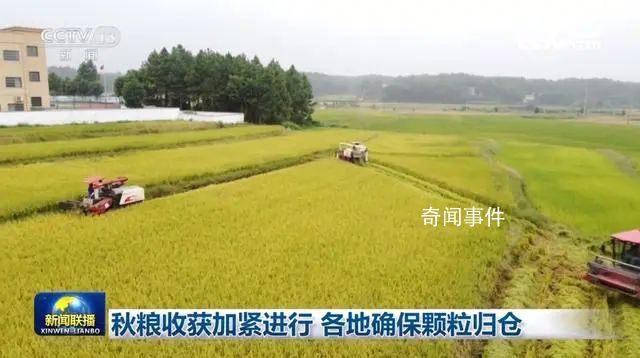 各地確保秋糧顆粒歸倉 秋冬種也有序展開