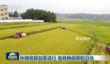 各地確保秋糧顆粒歸倉 秋冬種也有序展開
