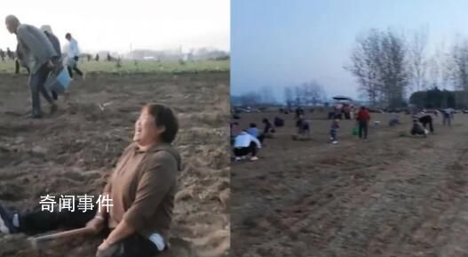 媒體評哄搶藥材:法不責眾不是借口