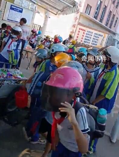 官方辟謠河南農戶高粱被村民搶收