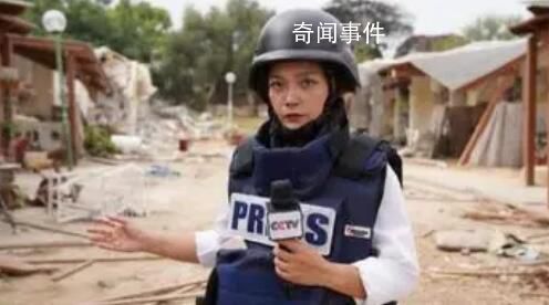 爸媽看電視才知女兒是戰(zhàn)地記者 陳慧慧個(gè)人資料簡(jiǎn)介