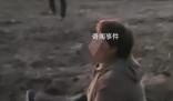 河南被搶藥材基本追回 損失約3萬