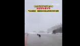東北風雪天有多猛?市民手牽手被吹翻