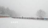 石家莊駝梁云頂下雪了 景色壯麗美不勝收