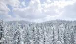 哈爾濱11月6日降雪量突破歷史極值