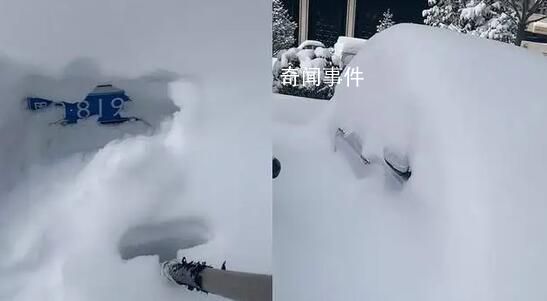 黑龍江暴雪后找車全靠挖 網友：東北雪天找車好像開盲盒
