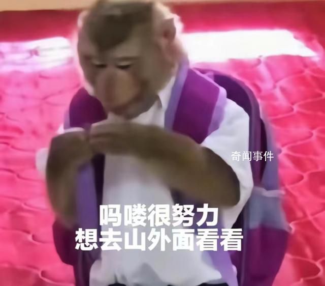 “嗎嘍”占領了年輕人的生活圈