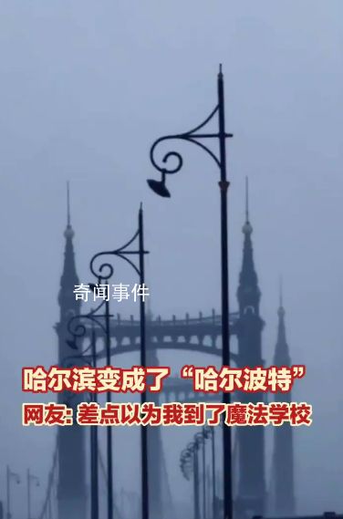 哈爾濱變成了“哈爾波特”