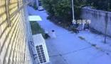 女童遭未滿12周歲男孩殺害?警方回應(yīng)