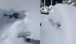 黑龍江暴雪后找車全靠挖 網(wǎng)友：東北雪天找車好像開盲盒