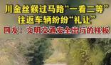 金絲猴與過(guò)路司機(jī)相互禮讓 上演了一幕人與自然和諧相處的暖心畫面