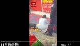 顧客套中3只大鵝 老板耍賴裝暈倒