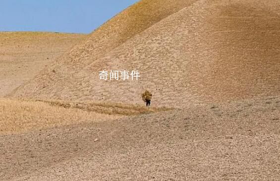 聯(lián)合國(guó):阿富汗鴉片產(chǎn)量銳減95%