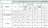 班宇等多名作家考取武漢文聯編制