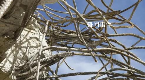 坍塌體育館系干部開發 弟弟疑涉黑