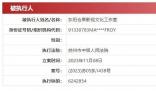 許晴獨資工作室被執行624萬