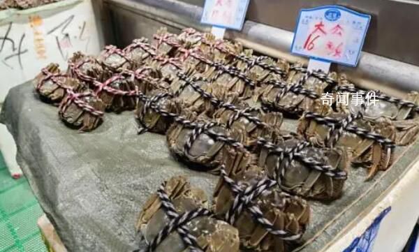 大閘蟹跌出“白菜價” 價格卻出現了大跳水