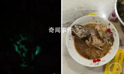大媽買海魚紅燒后半夜發綠光 背后真相令人震驚