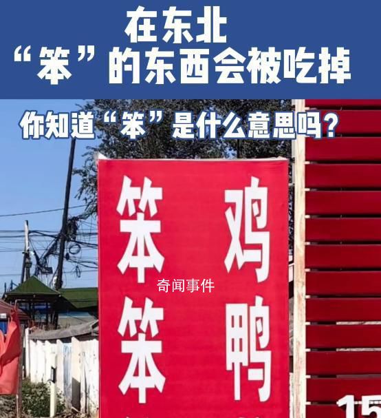 在東北 一切笨的東西都會(huì)被吃掉