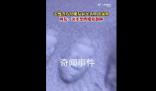 在大雪后的車蓋上印鬼臉有多好笑 網友：這不是四維彩超嗎