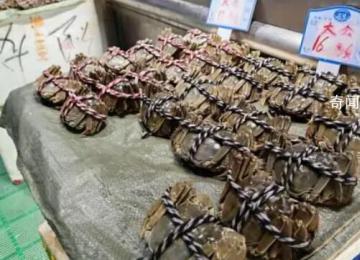 大閘蟹跌出“白菜價” 價格卻出現了大跳水