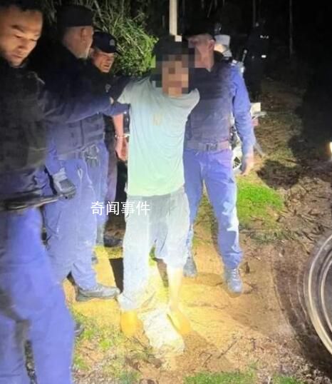男子殺人逃深山 養8只惡犬防身
