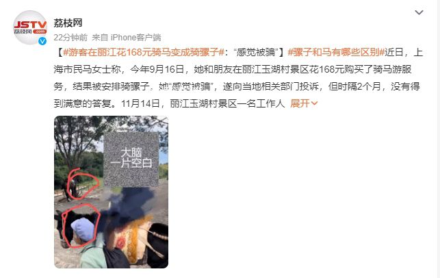 游客在麗江花168元騎馬變成騎騾子 目前沒有新的解決方案