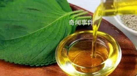 調(diào)和油不如動(dòng)物油?這些誤區(qū)你中了幾個(gè)