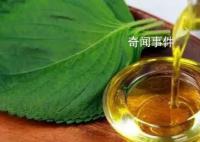 調和油不如動物油?這些誤區你中了幾個