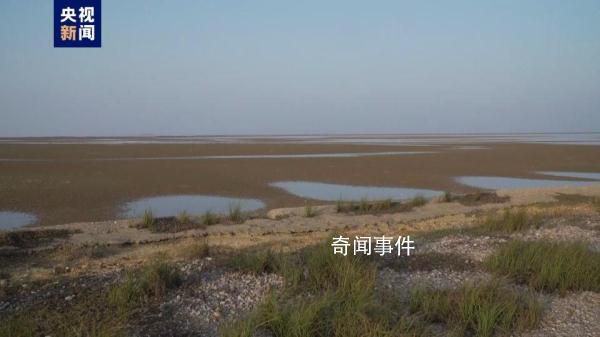鄱陽(yáng)湖已不足1000平方公里 鄱陽(yáng)湖標(biāo)志性水文站星子站水位10.52米