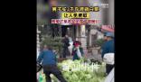 男子買3千斤滯銷白菜讓人免費取