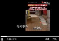 廣州一連鎖腸粉店被曝老鼠橫行