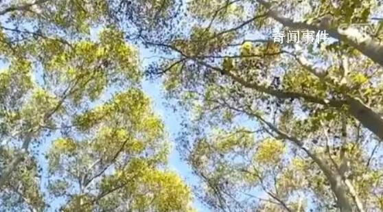 多彩旅游模式拉動(dòng)新消費(fèi) 好風(fēng)景拉動(dòng)新消費(fèi)
