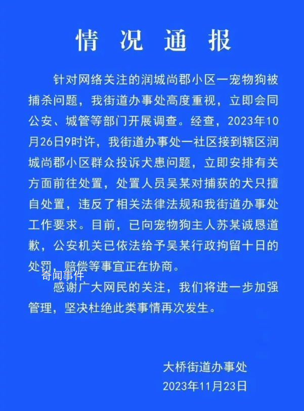 寵物犬被抓走宰殺 處置人員被行拘