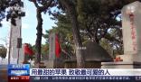 沈陽市民帶1800個蘋果祭掃英烈 山河無恙英魂安息