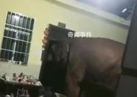 云南一網友吐槽大象頻繁進家 咋這么愛來我家呢