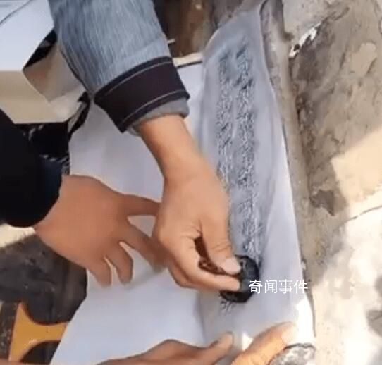 兩男子拍打拓印南京古城墻字跡 引發網友質疑
