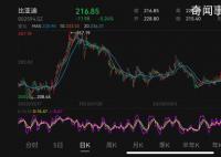 比亞迪旗下多款車型降價(jià)促銷 股價(jià)報(bào)收于216.85元/股