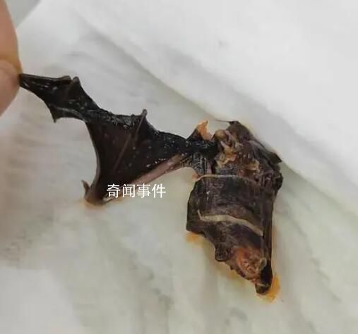 女子投訴楊國福麻辣燙吃出蝙蝠 真的是太無語了