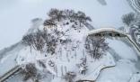 東北是捅了雪窩了 東北經(jīng)歷11月第五輪降雪